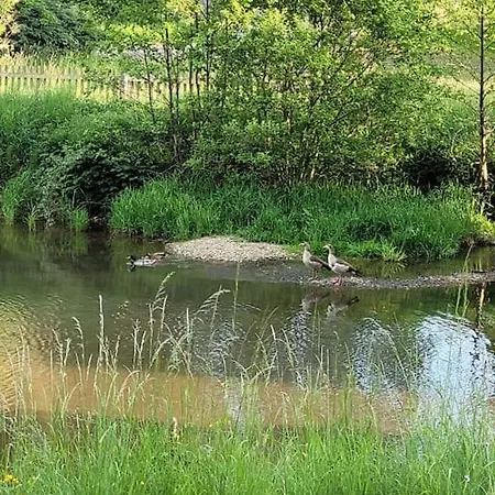 شقة Landidyll, Whirlpool, Minipigs, Ponys, Familien *