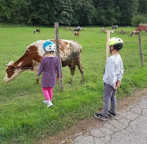 Landidyll, Whirlpool, Minipigs, Ponys, Familien Διαμέρισμα