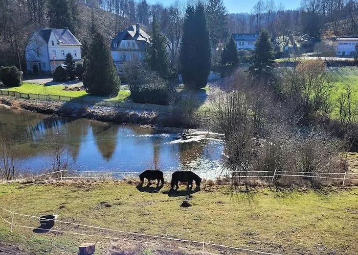 Διαμέρισμα Landidyll, Whirlpool, Minipigs, Ponys, Familien