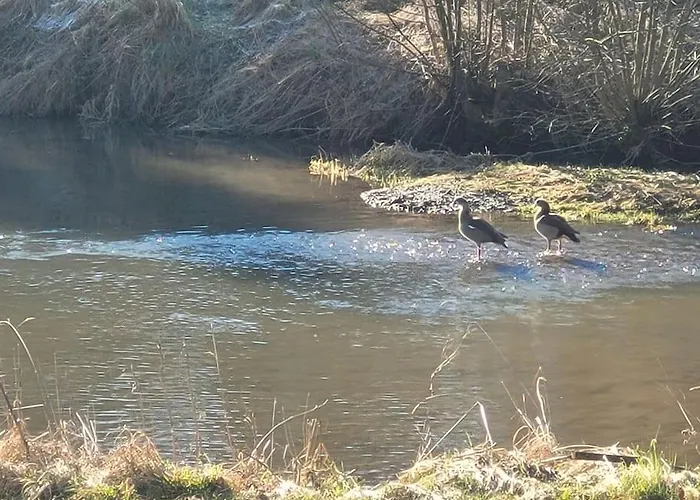 Landidyll, Whirlpool, Minipigs, Ponys, Familien