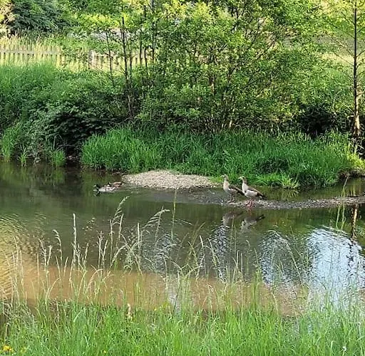 Διαμέρισμα Landidyll, Whirlpool, Minipigs, Ponys, Familien *